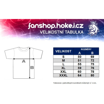 Reprezentacje hokejowe koszulka męska grey Czech Ice Hockey logo EST 1908