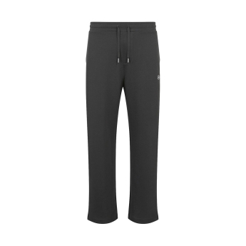 Mercedes AMG Petronas spodnie męskie Relaxed Fit grey F1 Team 2024