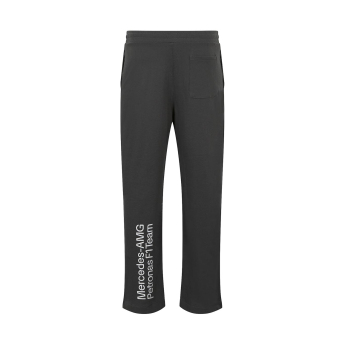 Mercedes AMG Petronas spodnie męskie Relaxed Fit grey F1 Team 2024