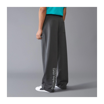 Mercedes AMG Petronas spodnie męskie Relaxed Fit grey F1 Team 2024