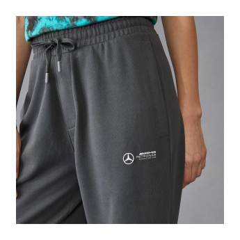 Mercedes AMG Petronas spodnie męskie Relaxed Fit grey F1 Team 2024