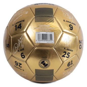 Manchester City piłka Treble Winners Sig