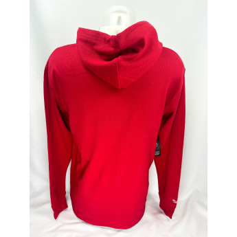 Detroit Red Wings męska bluza z kapturem Thermal Lightweight Hoodie Current Logo