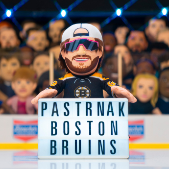 Boston Bruins maskotka zawodnika David Pastrňák