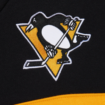Pittsburgh Penguins męska bluza z kapturem Head Coach Hoodie Current Logo