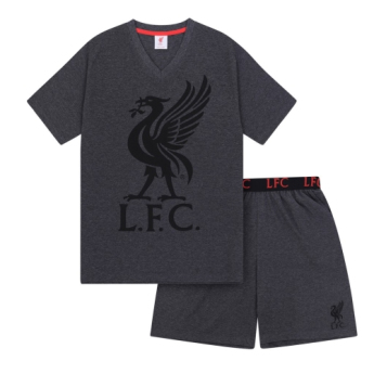 Liverpool piżama męska SLab grey