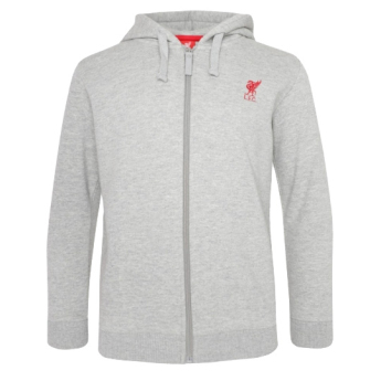 Liverpool dziecięca bluza z kapturem Zip grey
