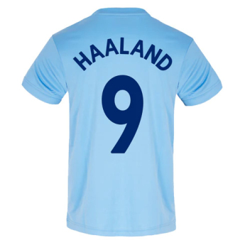 Erling Haaland koszulka męska Sky Haaland