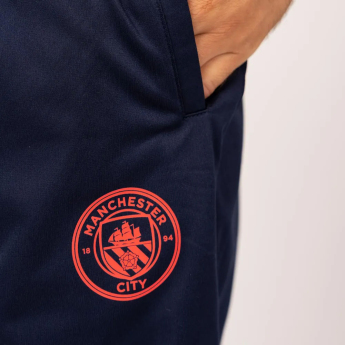 Manchester City męski zestaw sportowy 2024/25 Away