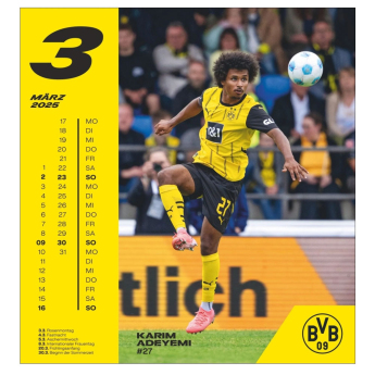 Borusia Dortmund kalendarz 2025 Postcard
