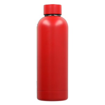 Bayern Monachium bidon Steel red