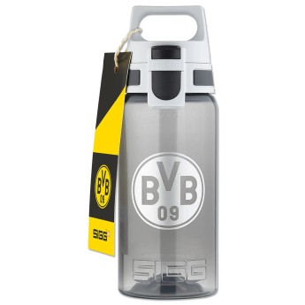 Borusia Dortmund bidon grey