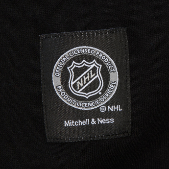 Dallas Stars męska bluza z kapturem Retro Fleece Current Logo