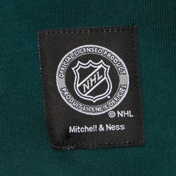 Minnesota Wild męska bluza z kapturem Retro Fleece Current Logo