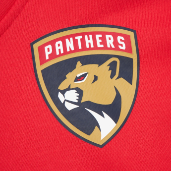 Florida Panthers męska bluza z kapturem Retro Fleece Current Logo