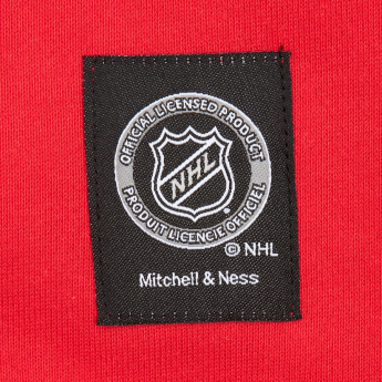 Florida Panthers męska bluza z kapturem Retro Fleece Current Logo