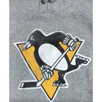 Pittsburgh Penguins męska bluza z kapturem grey Knockaround Headline
