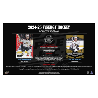 NHL pudełka karty hokejowe NHL 2024-25 Upper Deck Synergy Hobby Box