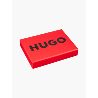 Visa Cash App RB etui na katy Hugo black F1 team 2024