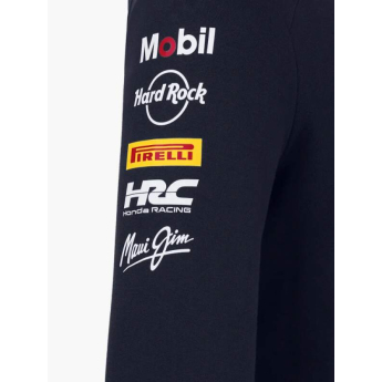 Red Bull Racing męska bluza z kapturem official Teamline Replica zip navy F1 Team 2025