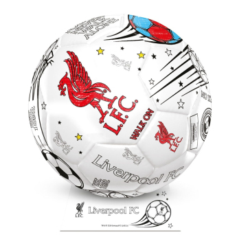 Liverpool piłka Colour - size 2