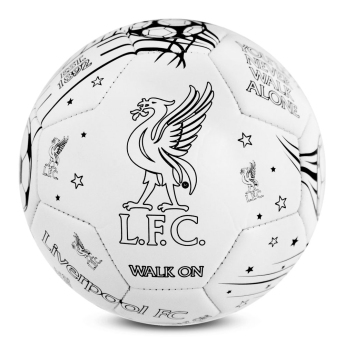 Liverpool piłka Colour - size 2