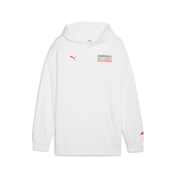 Formuła 1 męska bluza z kapturem DTS Relaxed white F1 Team 2025