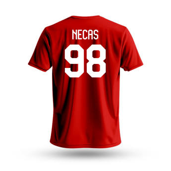 Reprezentacje hokejowe koszulka męska Czech republic Martin Nečas #98 National Emblem 2025 red