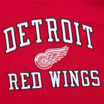 Detroit Red Wings koszulka męska NHL Legendary Slub Ss