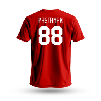 Reprezentacje hokejowe koszulka dziecięca Czech republic David Pastrňák #88 National Emblem 2025 red