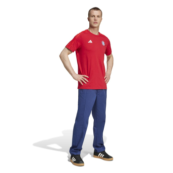 Bayern Monachium koszulka męska DNA Tee red