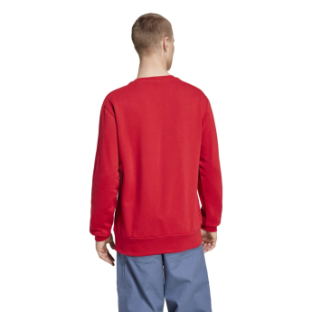 Bayern Monachium bluza męska DNA Sweat red