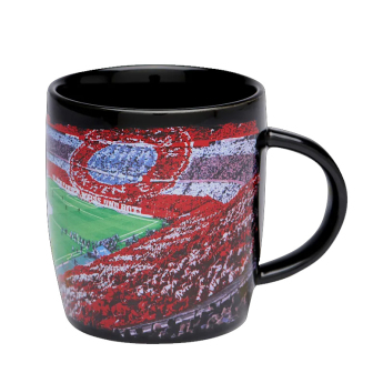Bayern Monachium kubek Arena