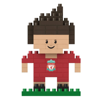 Liverpool układanka 3D Player