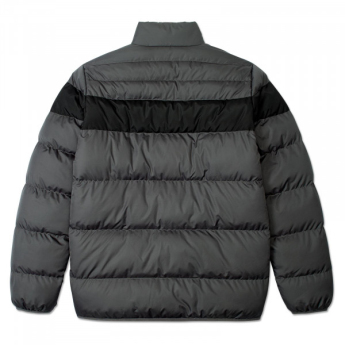 Borusia Dortmund męska kurtka zimowa Padded grey