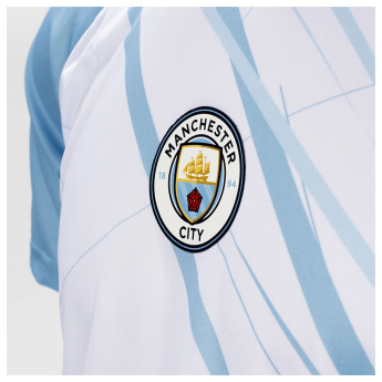 Manchester City piłkarska koszulka meczowa No3 Poly white