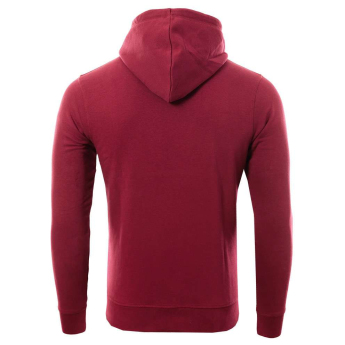 Bayern Leverkusen męska bluza z kapturem Logo burgundy