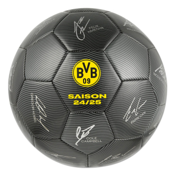 Borusia Dortmund piłka 24/25 with signatures
