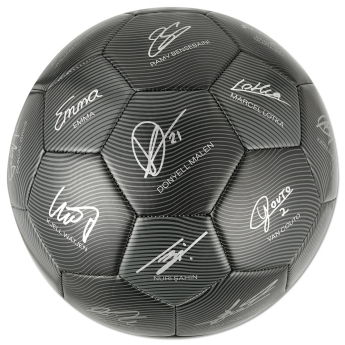 Borusia Dortmund piłka 24/25 with signatures