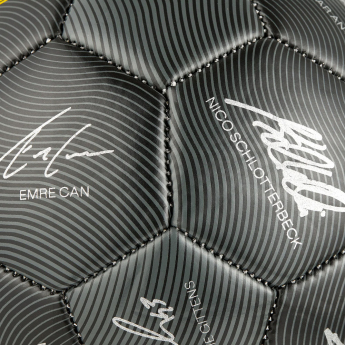 Borusia Dortmund piłka 24/25 with signatures