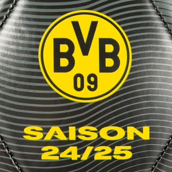 Borusia Dortmund piłka 24/25 with signatures