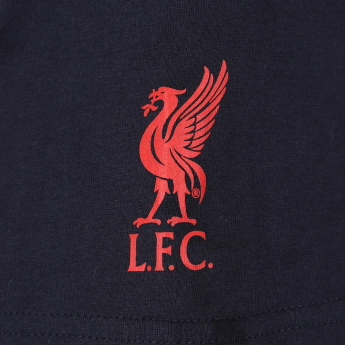Liverpool koszulka męska Graphic navy