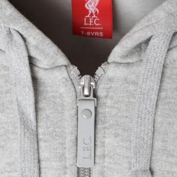 Liverpool dziecięca bluza z kapturem Zip grey