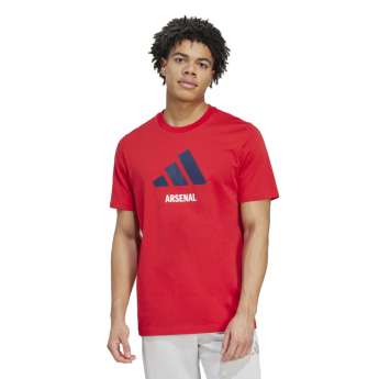 Arsenal koszulka męska Seasonal Graphic red
