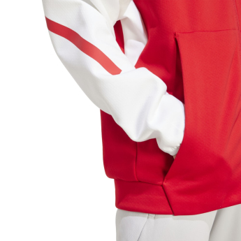 Arsenal męska kurtka z kapturem Z.N.E. red