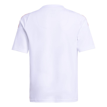 Lionel Messi dziecięca koszulka meczowa MESSI Stripe white