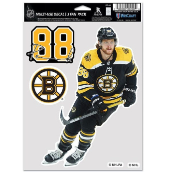 Boston Bruins naklejki David Pastrnak #88 Color Decal