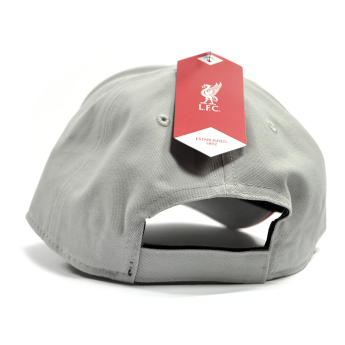 Liverpool czapka baseballówka Mass Two Tone grey