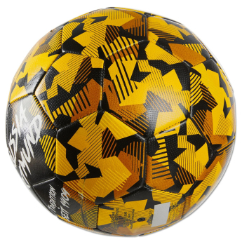 Borusia Dortmund piłka Spirit