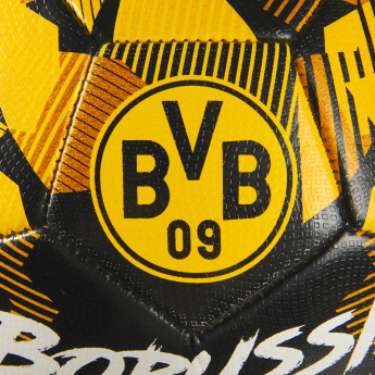 Borusia Dortmund piłka Spirit